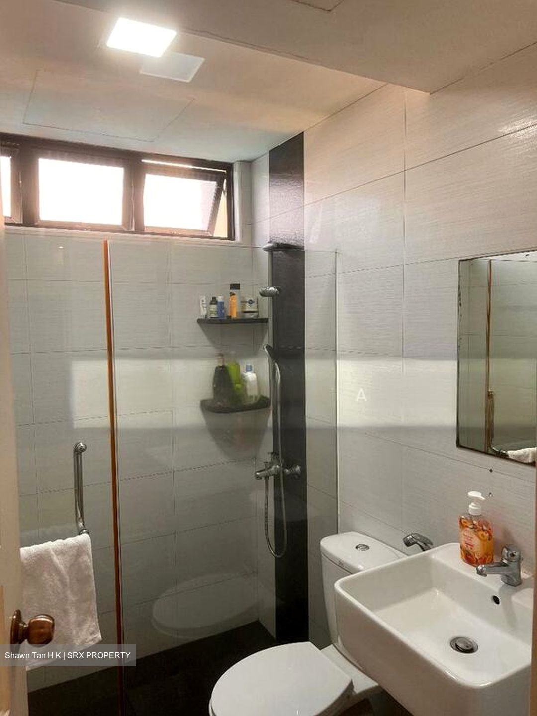 Hillside Mansions (D19), Apartment #502146381